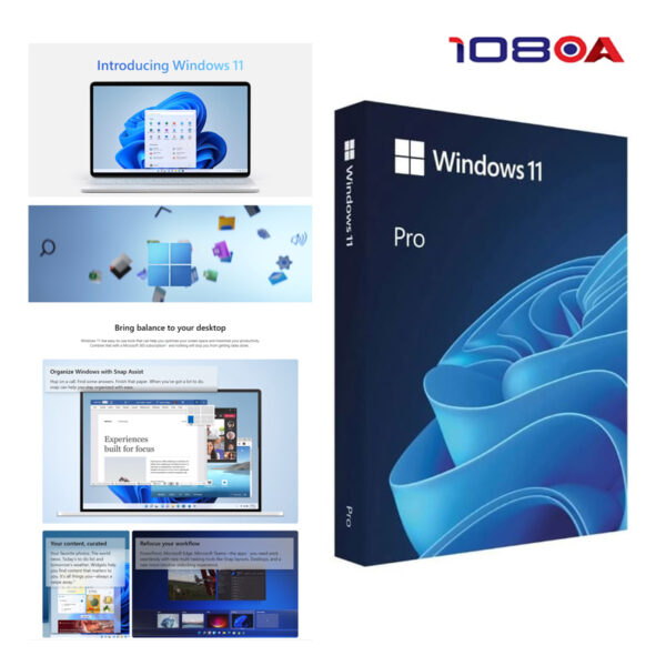 Microsoft Windows 11 Pro 64 Bit (FPP)